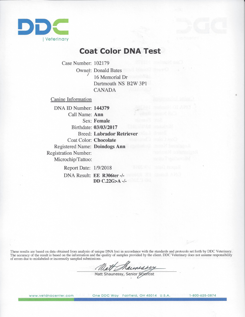 Coat Color DNA