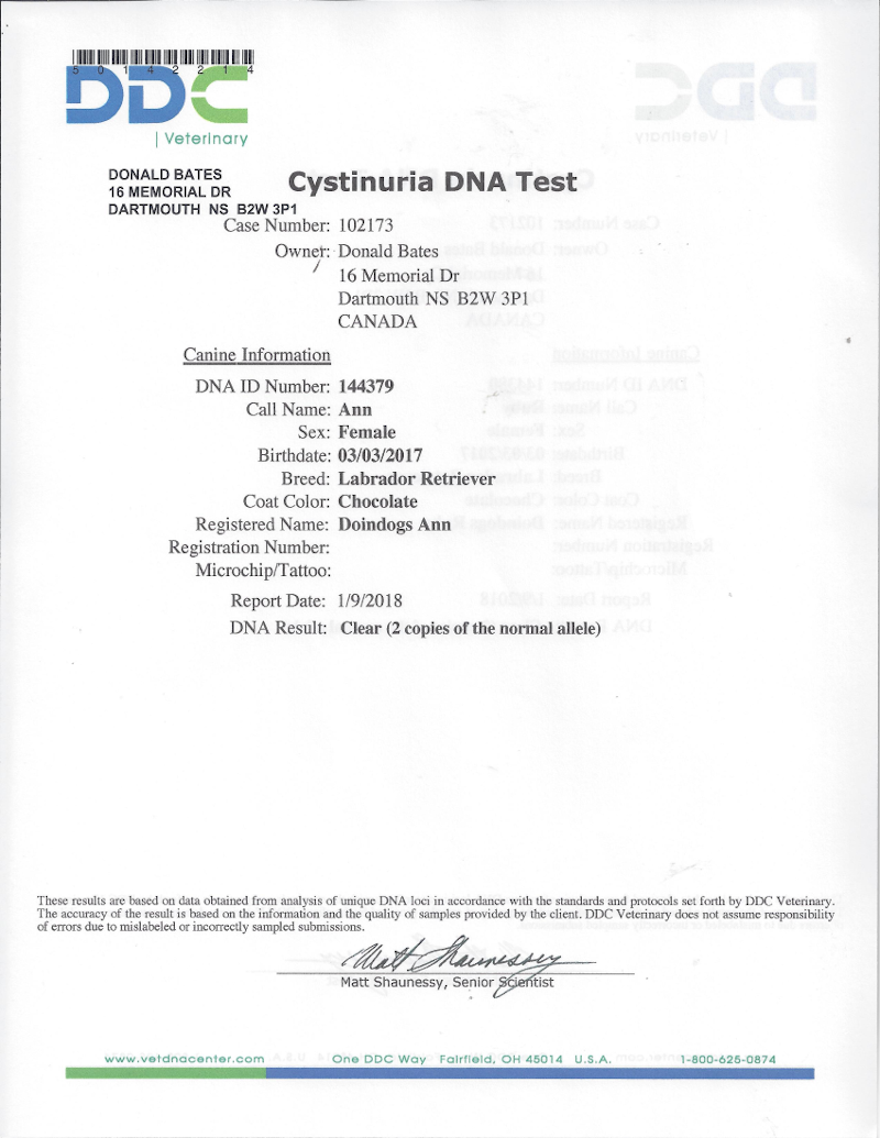Cystinuria DNA