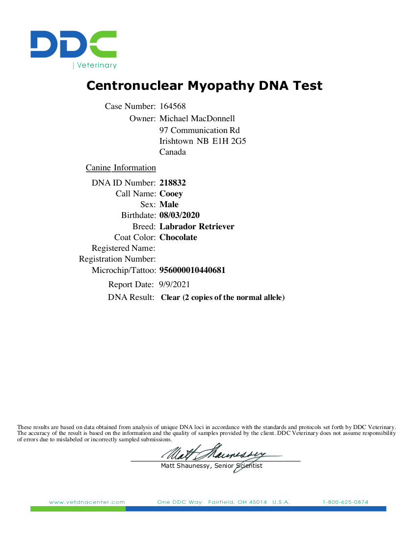 Centronuclear Myopathy test