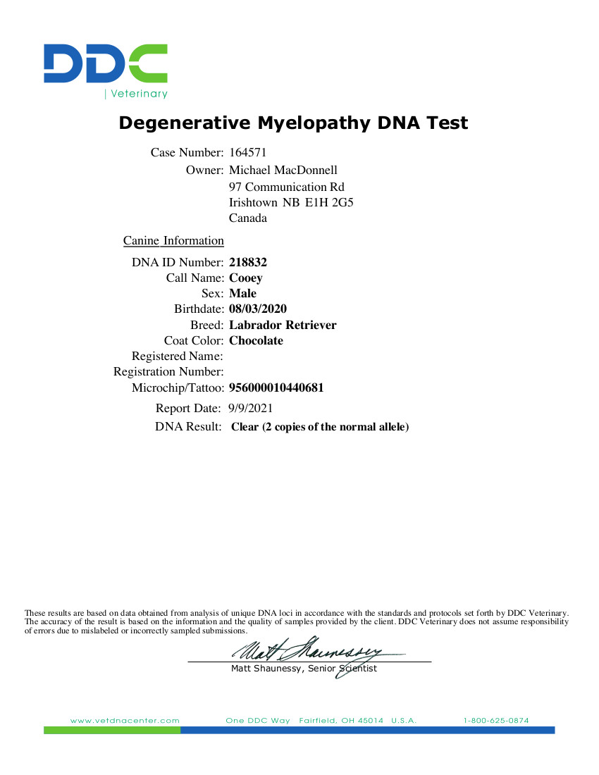 Degenerative Myelopathy DNA Test