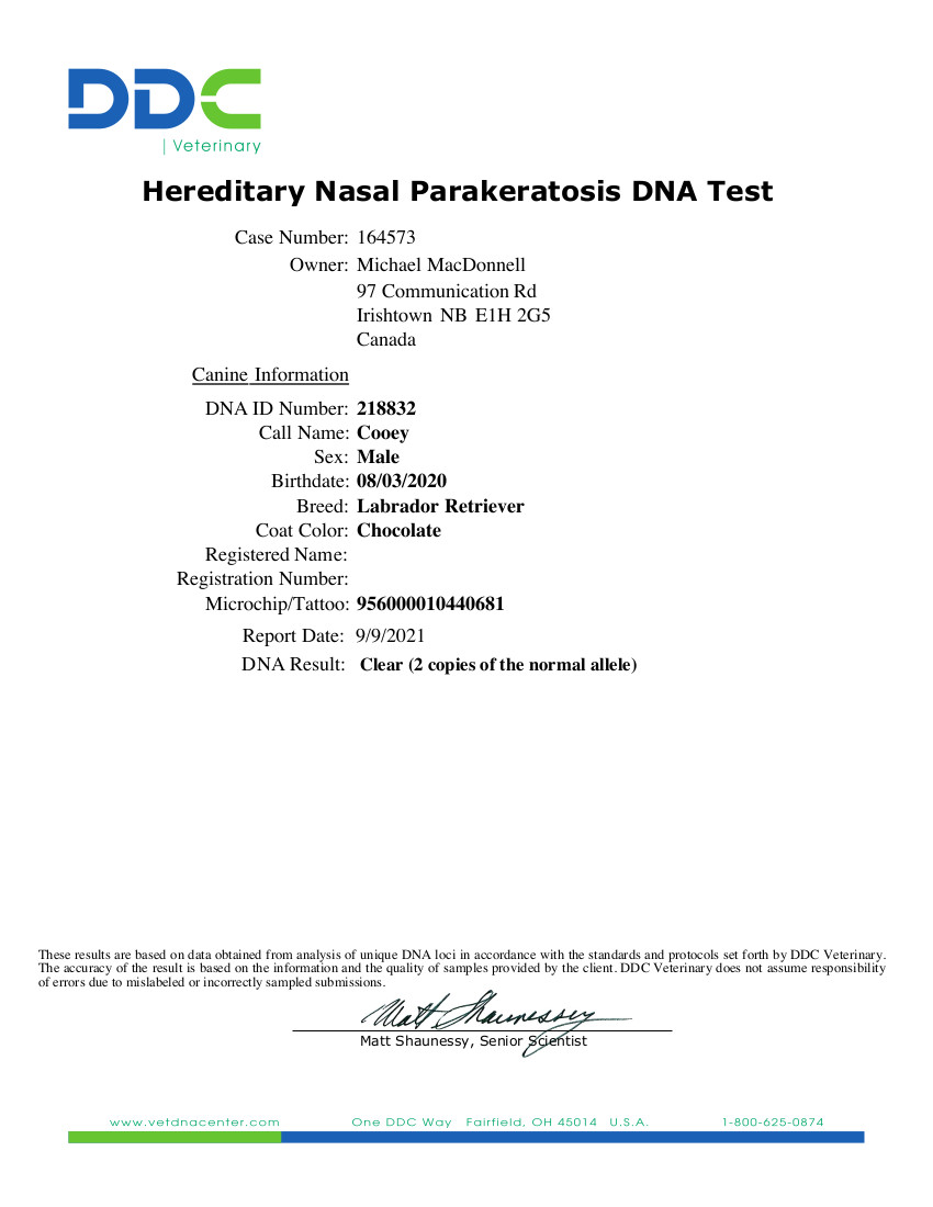 Hereditary Nasal Parakeratosis DNA Test