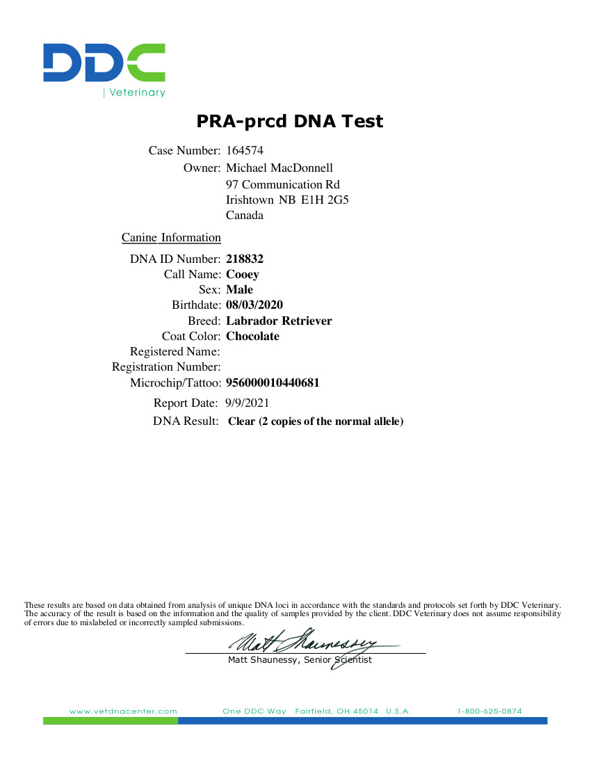 PRA-prcd DNA Test