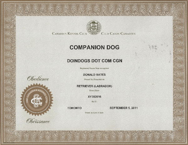 Compainion Dog