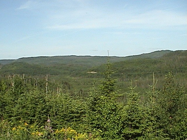 DSC00102.JPG