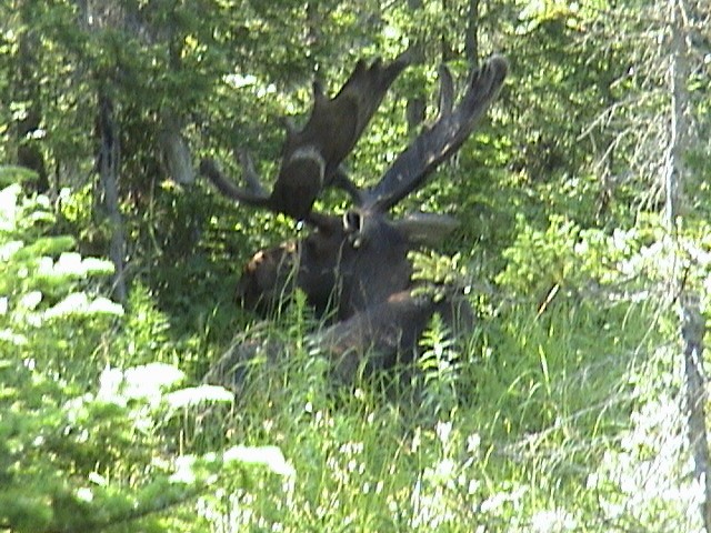 DSC00105.JPG