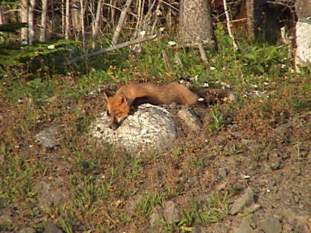 DSC00110.JPG
