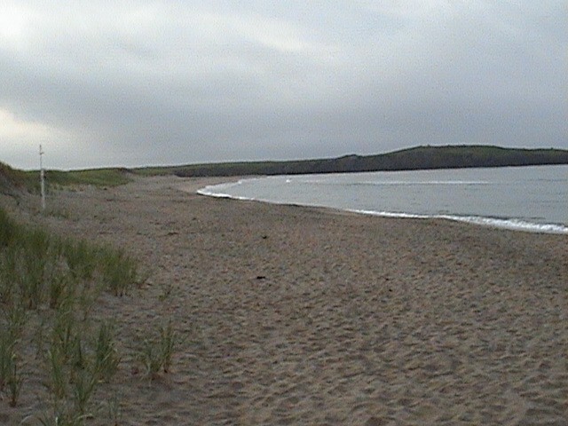 DSC00142.JPG