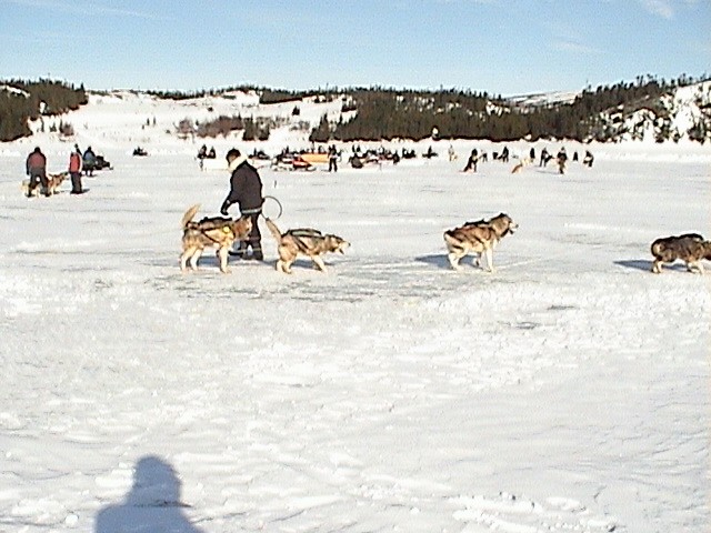 DSC00390.JPG