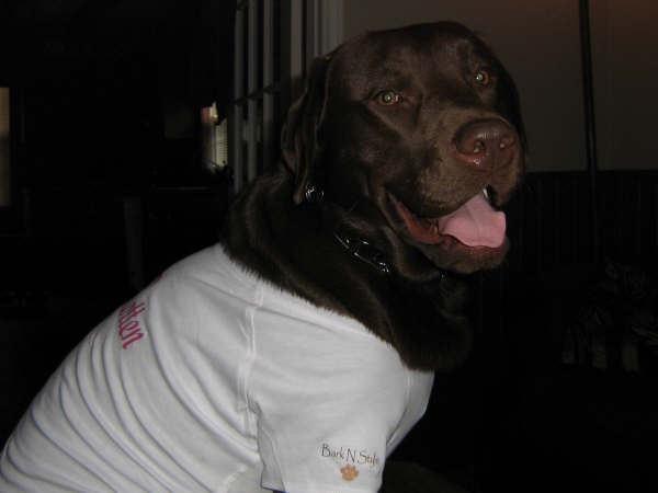 koda_IMG_0646.JPG
