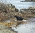 Angus_2HPIM3216.JPG