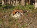DSC00110.JPG