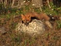 DSC00111.JPG