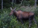 DSC00126.JPG