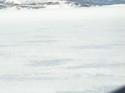 DSC00408.JPG
