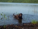 howie100_0813.JPG