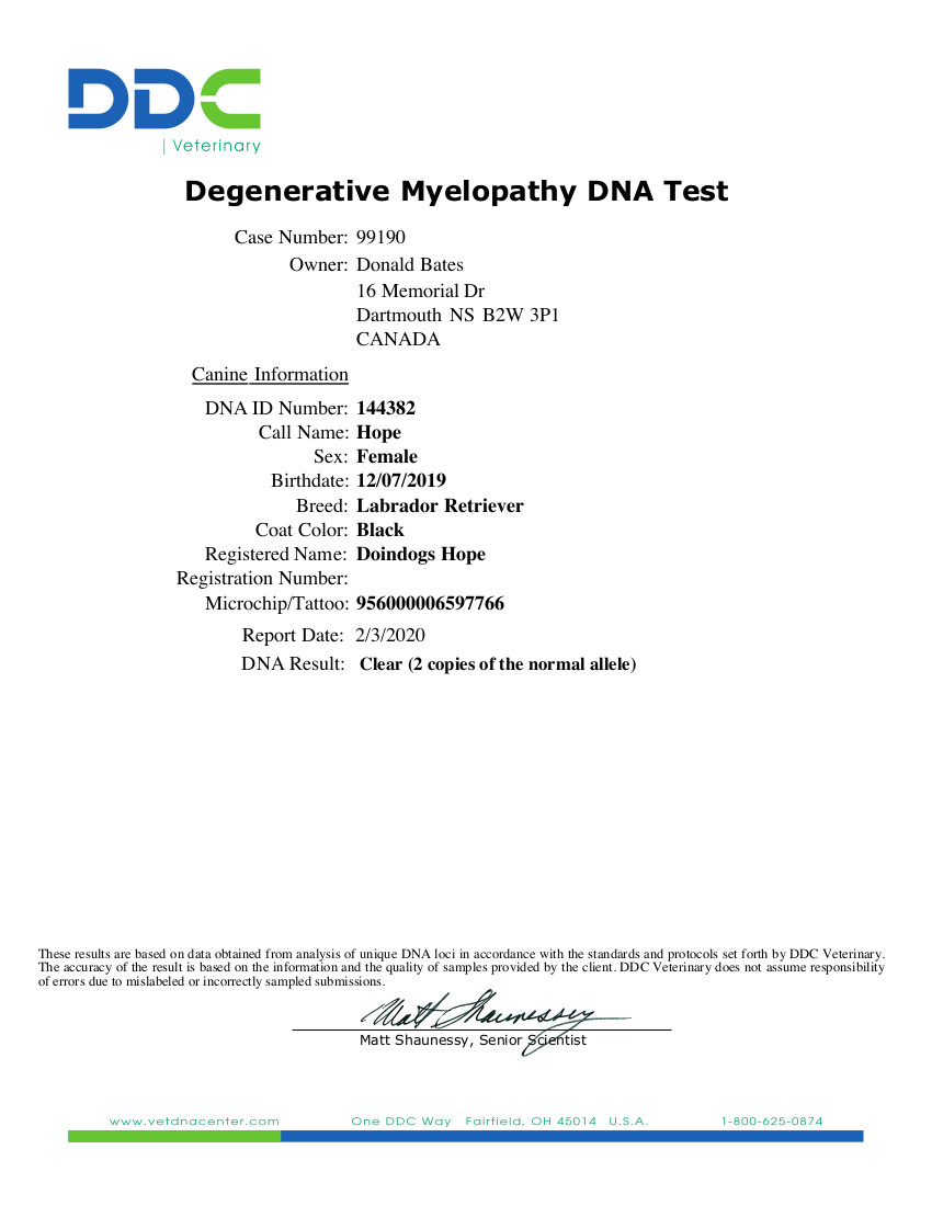 Degenerative Myelopathy DNA