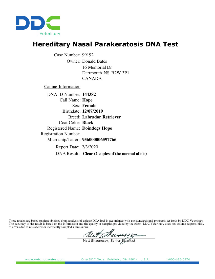 Hereditary Nasal Parakeratosis DNA