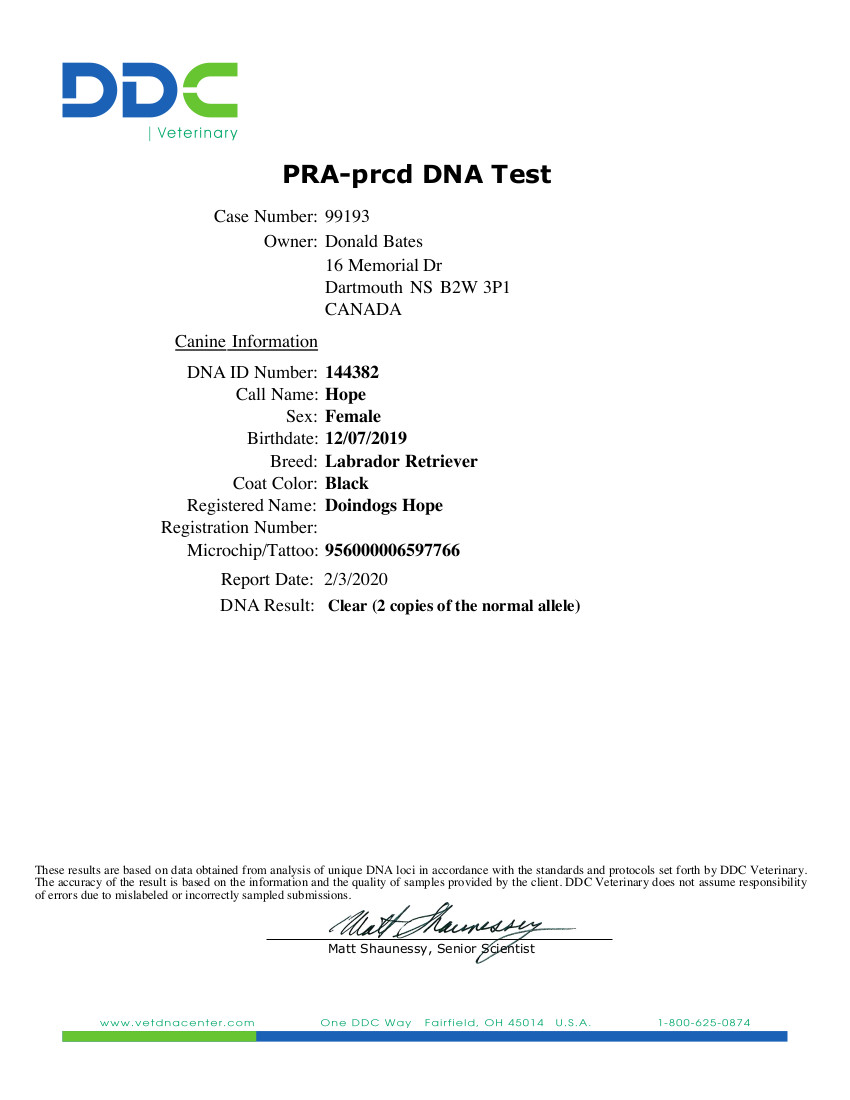 PRA-prcd DNA