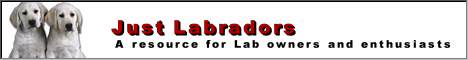 http://www.justlabradors.com