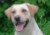 Bellaprofile_sm.jpg