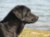 storm_profile_100.jpg