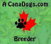 canadogs.com