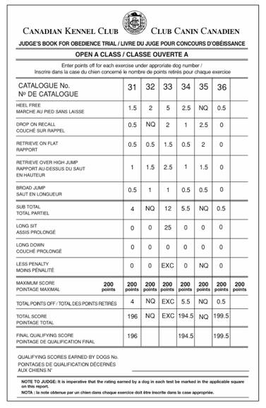 Open A Class Obedience Trial Sample Judging Chart