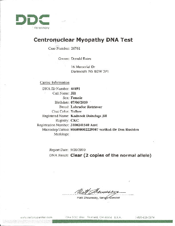 Centronuclear Myopathy DNA Clear
