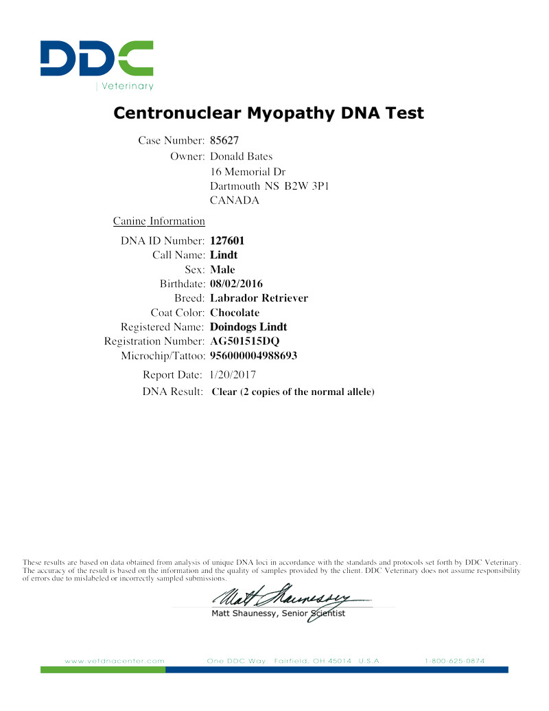 Centronuclear Myopathy DNA Test