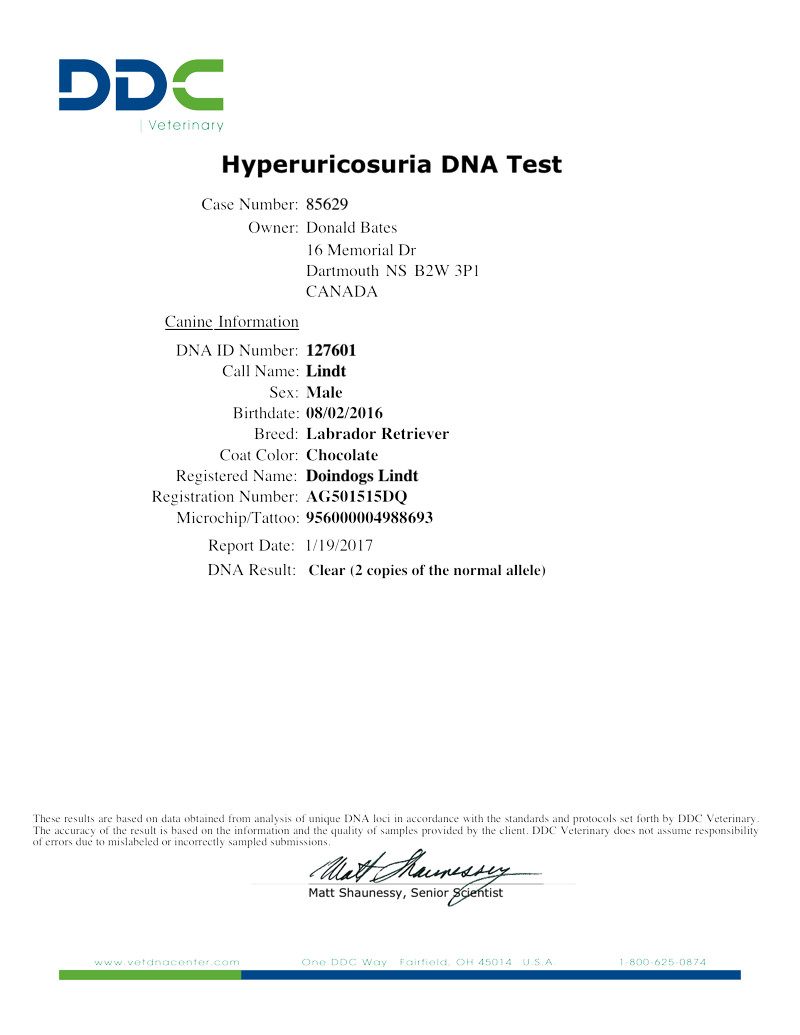 Hyperuricosuria DNA