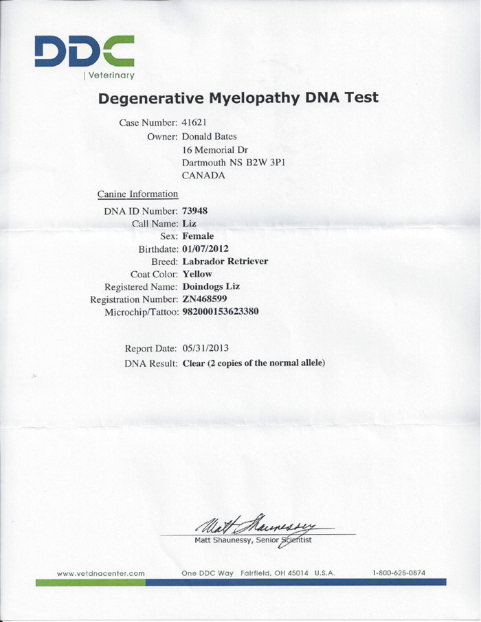 Liz Degenerative Myelopathy DNA Test