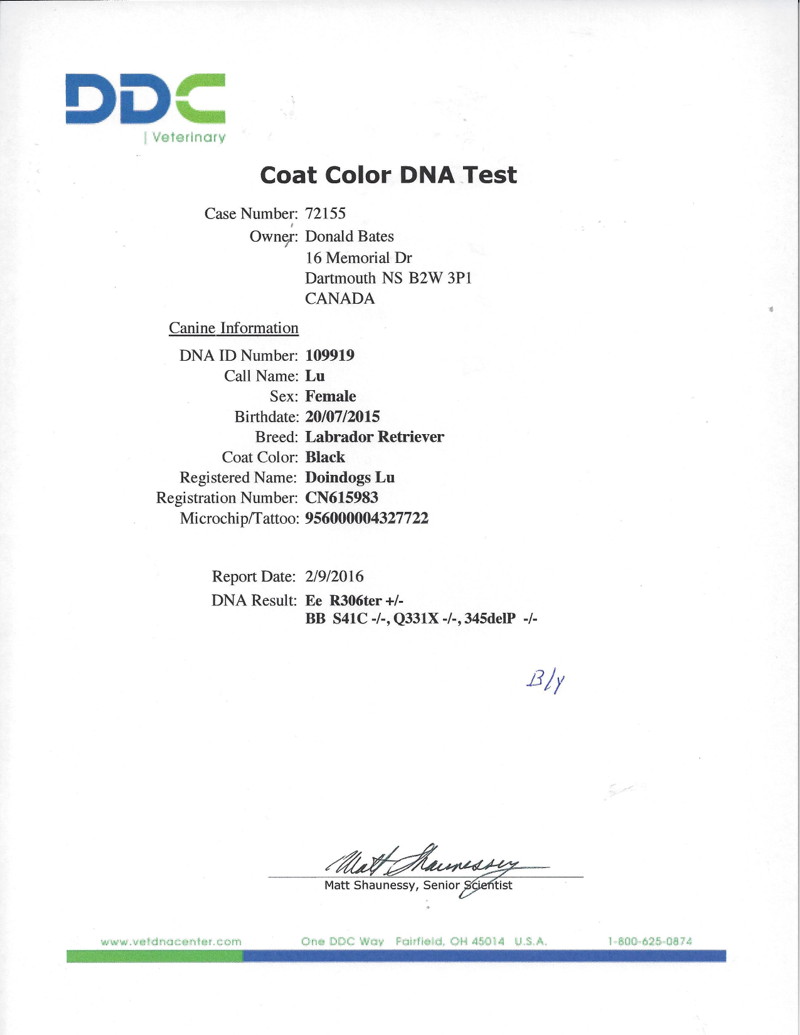 LU's Coat Colour DNA