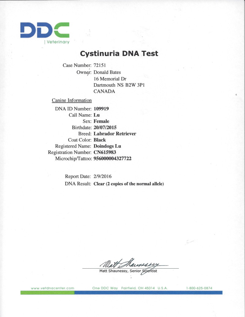 LU's Cystinuria DNA