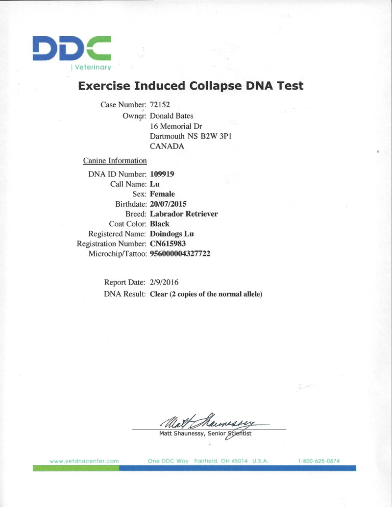 LU's EIC DNA test