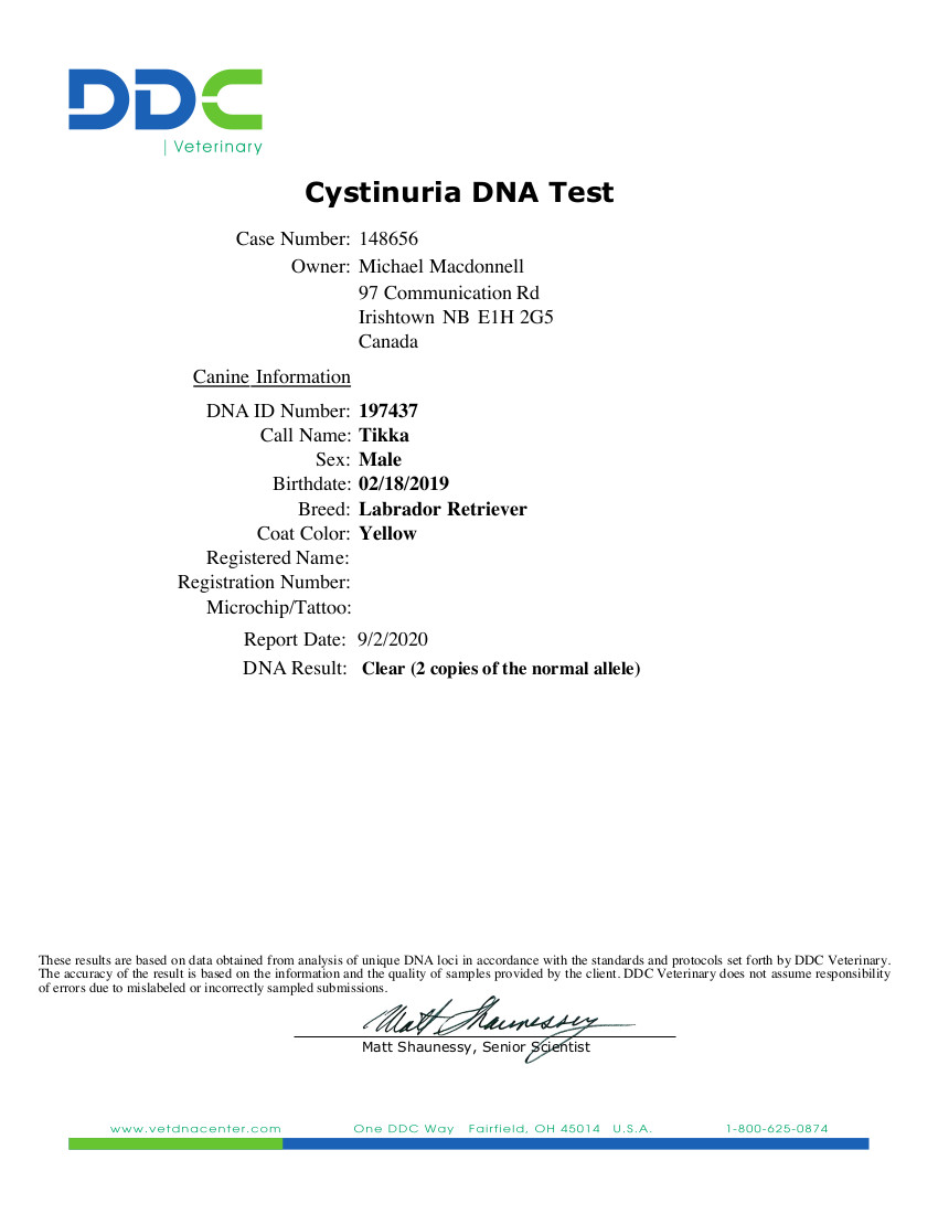 Cystinuria DNA Test