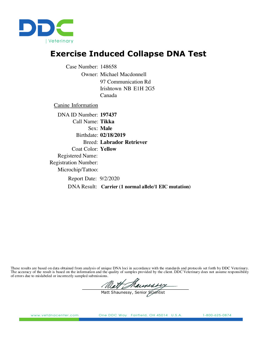 Exercise Induced Collapse DNA Test