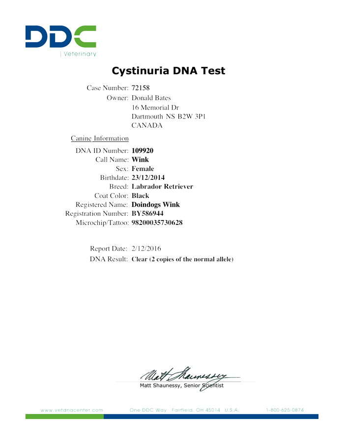 Wink's Cystinuria DNA